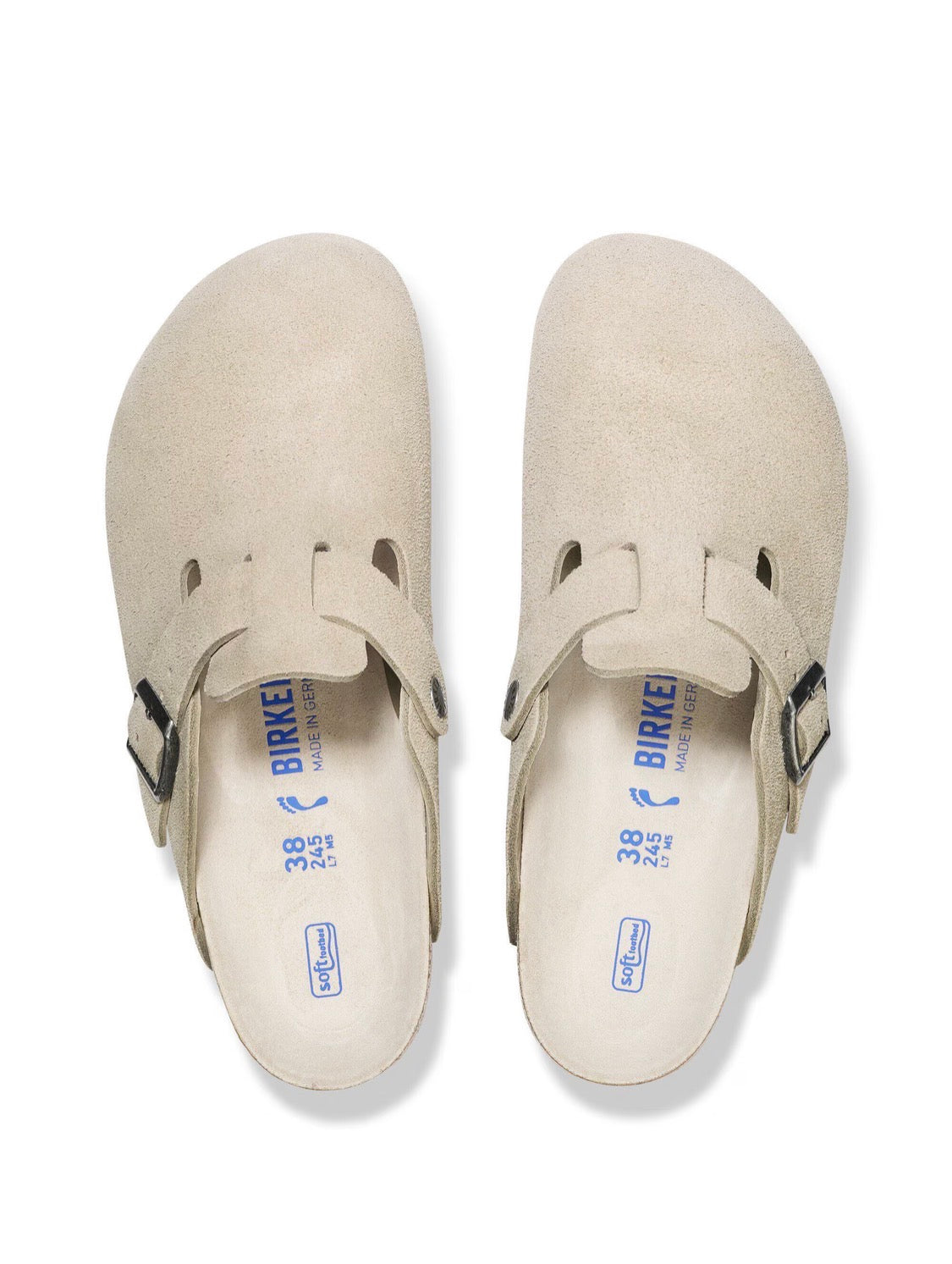 Birk